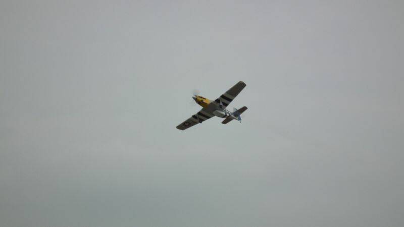 S0200039.JPG