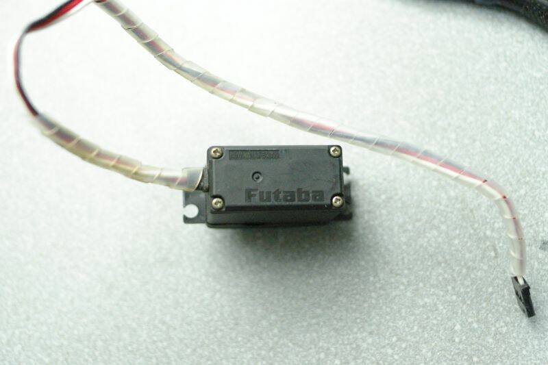 _IGP3786.JPG
