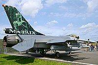 tail11.jpg