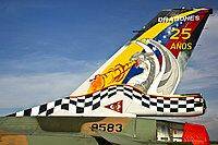 tail7.jpg