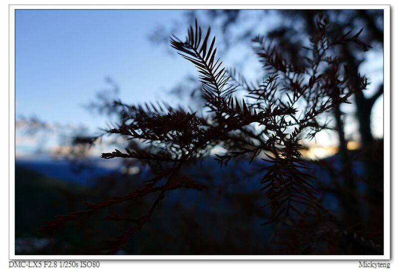 A01.JPG