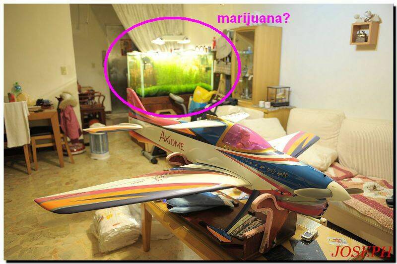 Marijuana.jpg