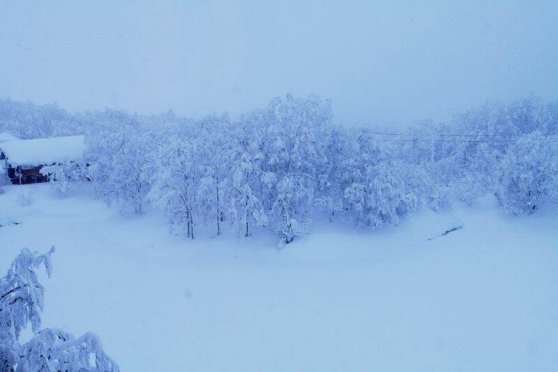 IMG_2810_調整大小 .jpg