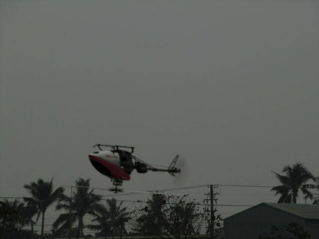 CIMG0896.JPG