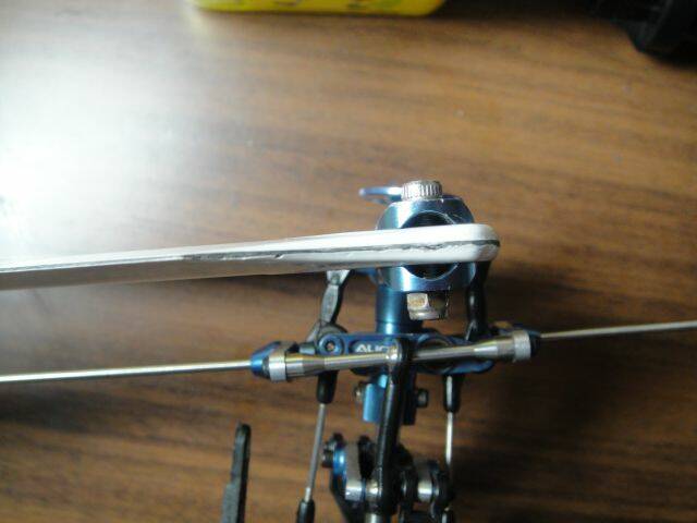 DSC01416.JPG