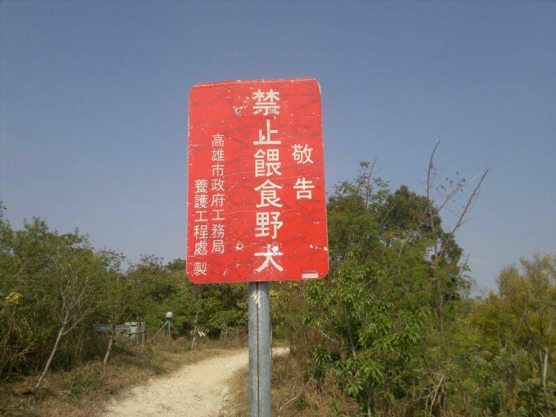禁止餵食野犬