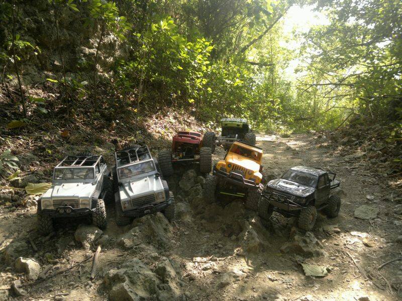 登山步道大部份都沒有階梯但非常有挑戰性.jpg