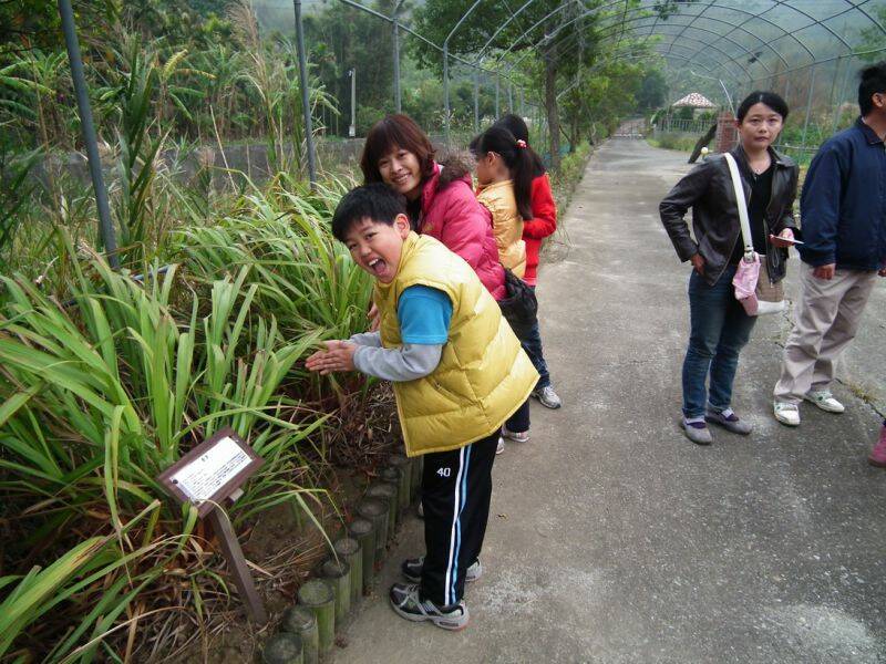DSCF0975.jpg