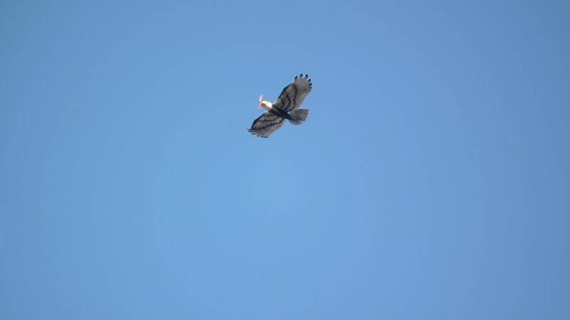 DSCF0426.JPG