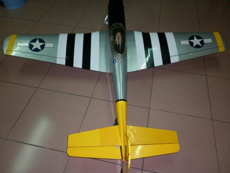 P1000826-1.JPG