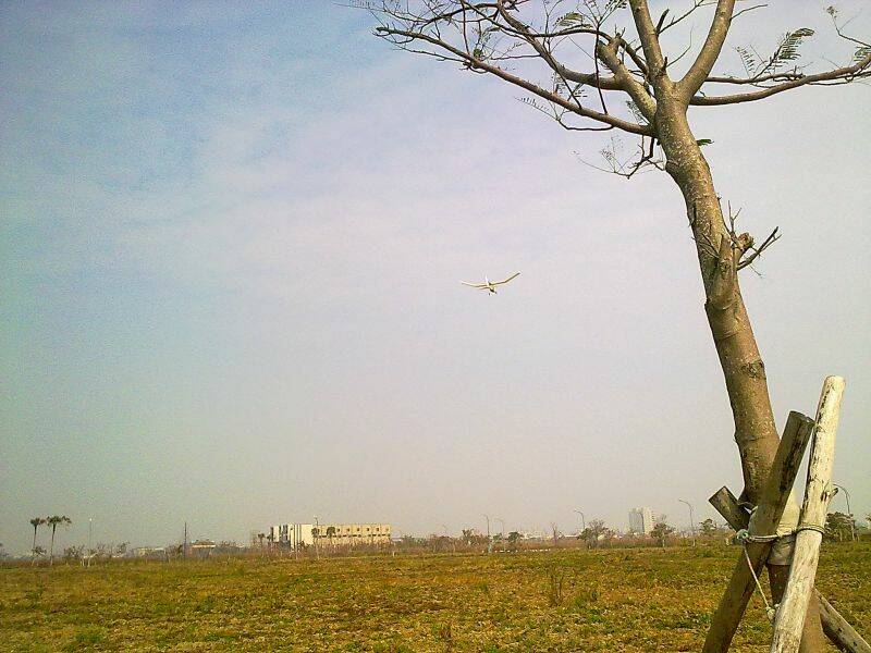 201102131342.jpg