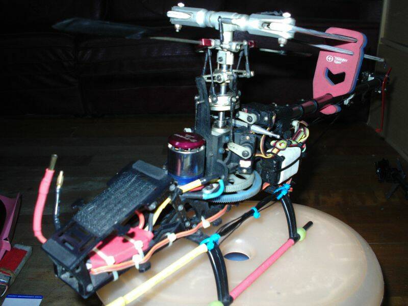 DSCI0056.JPG