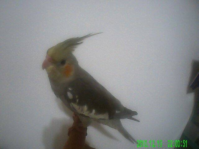 PICT0014.JPG