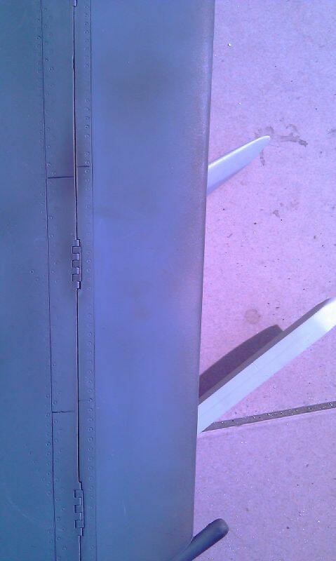IMAG0289.jpg