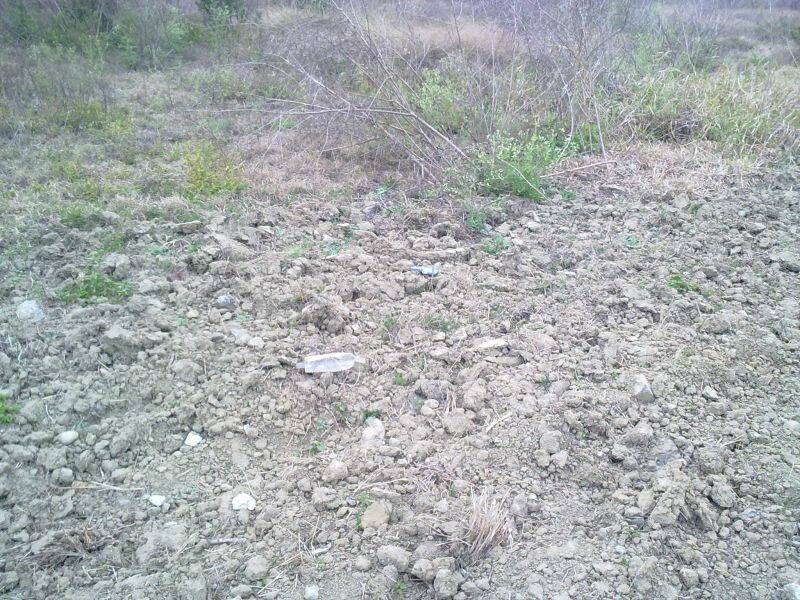 201102181398.jpg