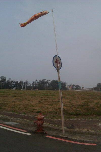 01.jpg