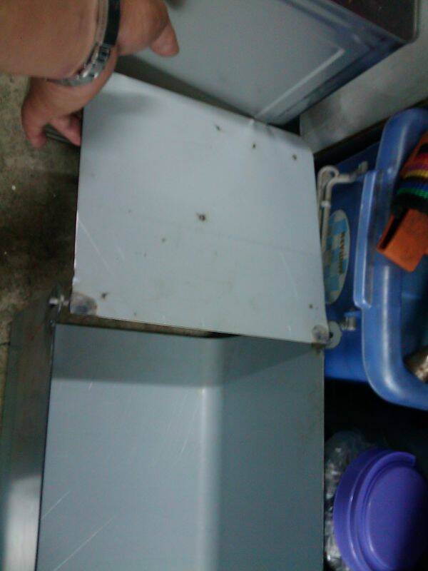IMAG0048.jpg