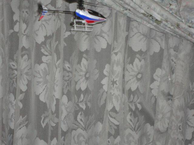 DSC00094.JPG