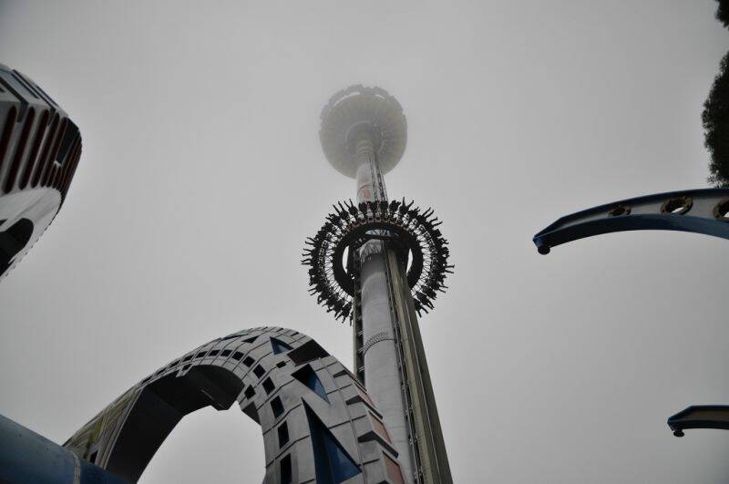 DSC_0081.jpg