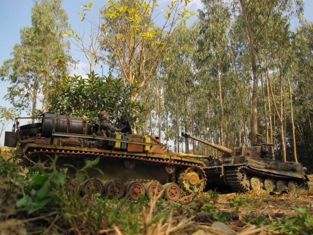 STUG Ⅲ G 110226 (74).JPG