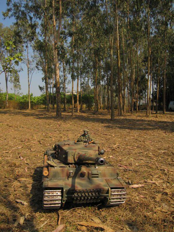 STUG Ⅲ G 110226 (84).JPG