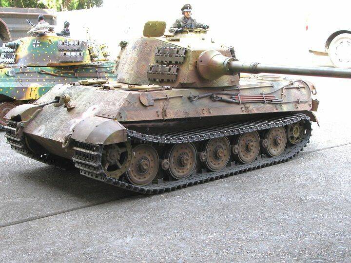 1-6 Tiger 2-530c.jpg