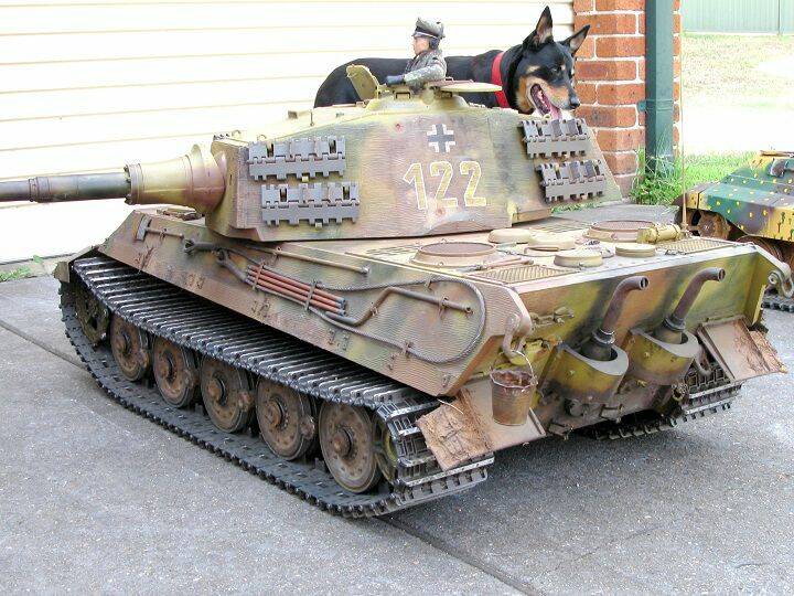1-6 Tiger 2-531c.jpg