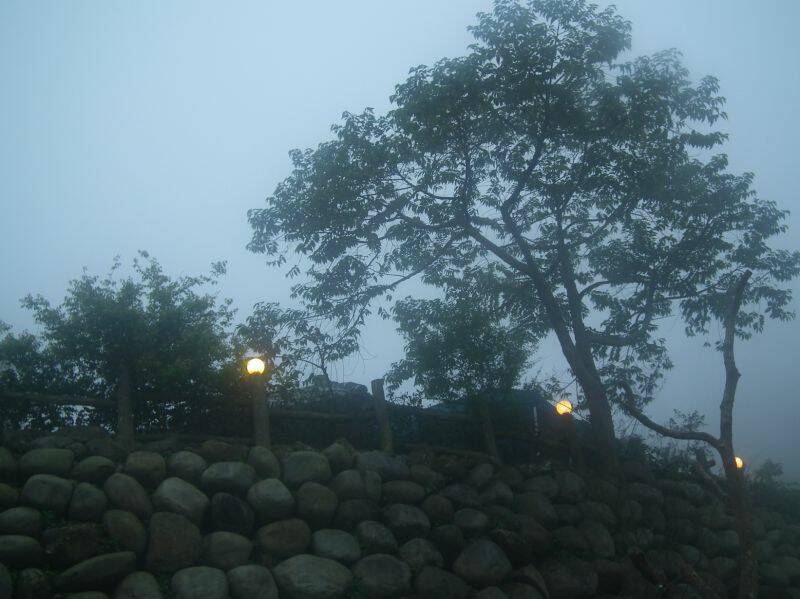 DSCF1139.jpg