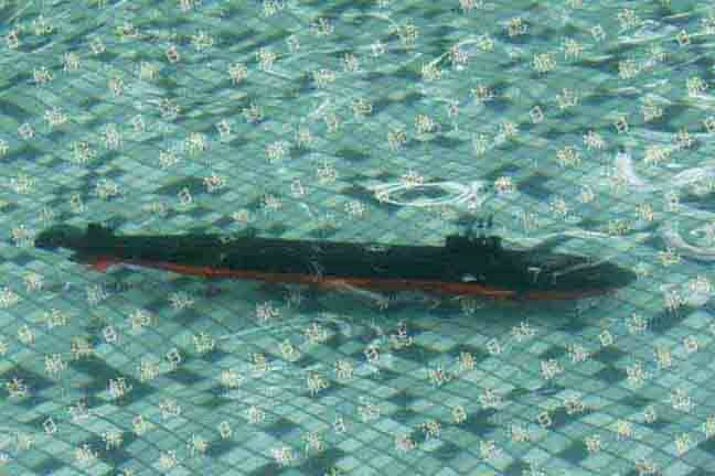 seawolf0009a.jpg