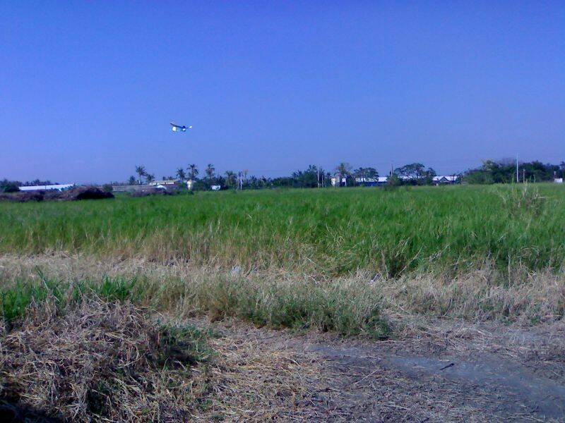 20101205585.jpg