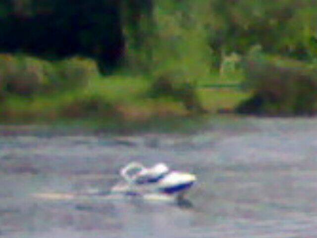 20101122531.jpg