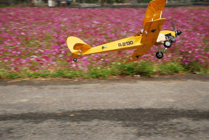182696_191480134208876_100000406724157_556102_8221315_n[1].jpg