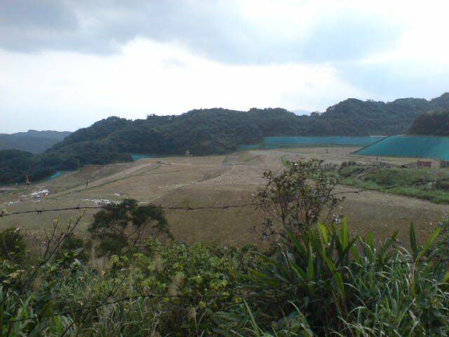 DSC00335.JPG