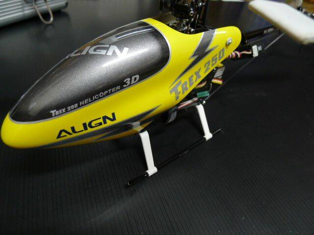 P1010102.JPG