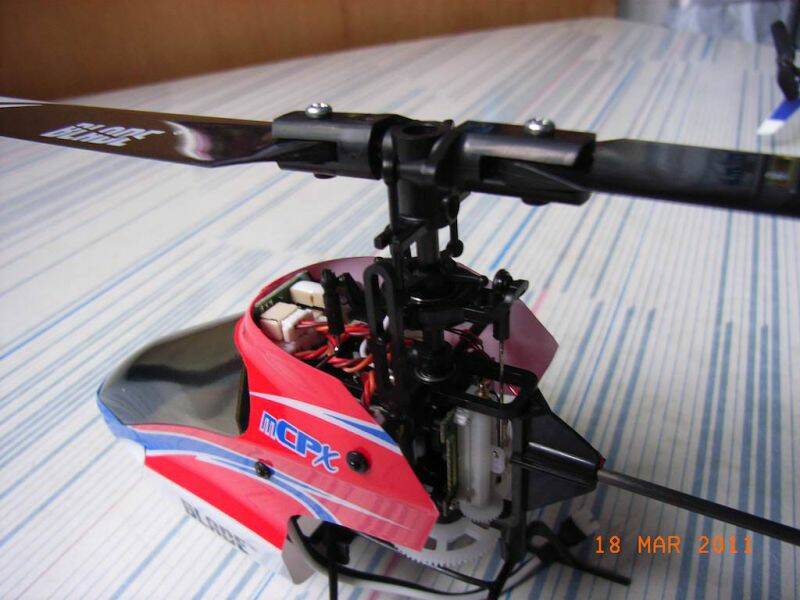 RIMG0379.jpg