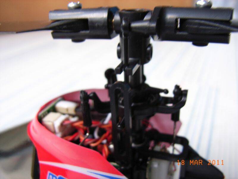 RIMG0380.jpg