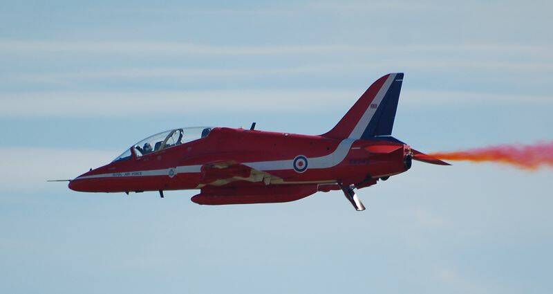 Hawk-2.jpg