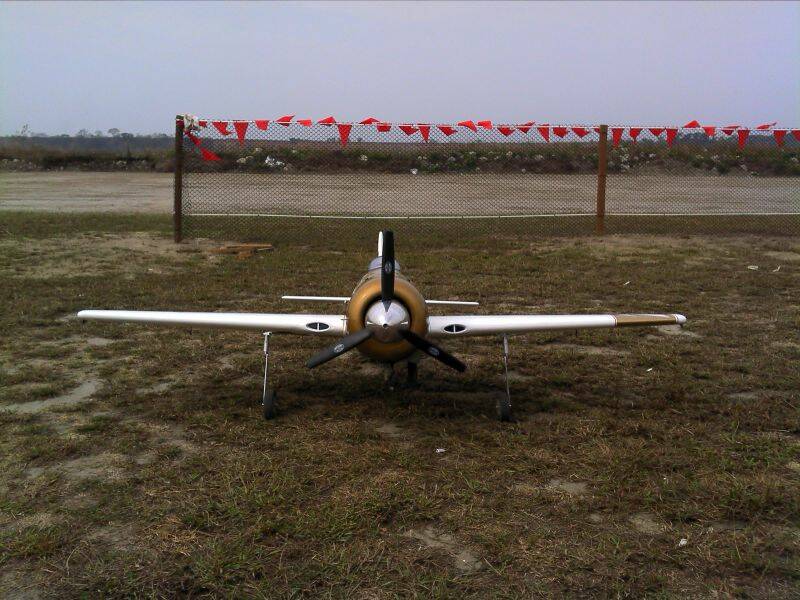 2011-03-21 14.55.08.jpg