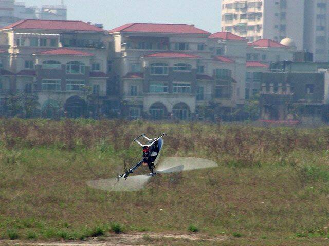 馬大爺(小馬)