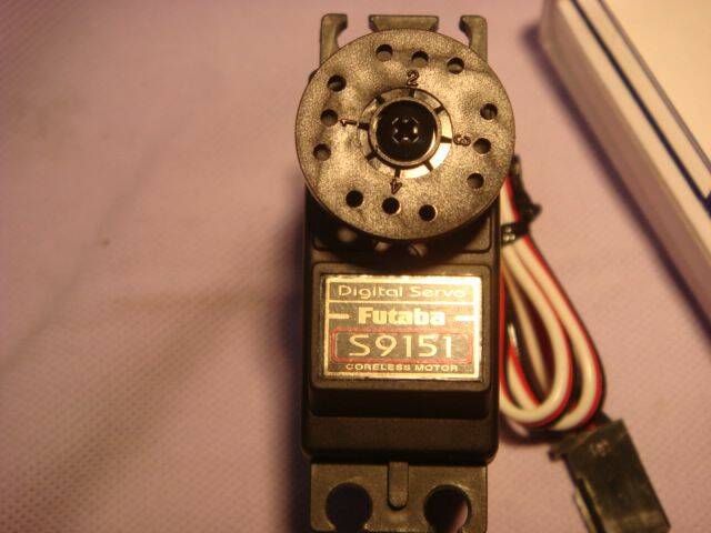 DSC07637.JPG