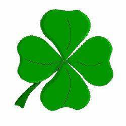 4-clover.JPG