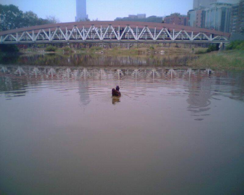調整大小IMG0516A.jpg