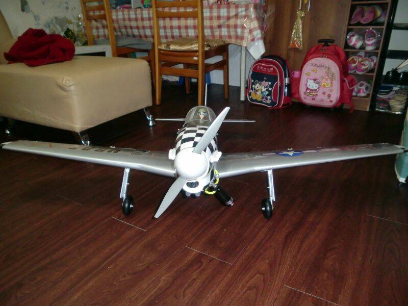 P51 (5).JPG