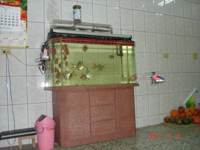DSC05144.JPG