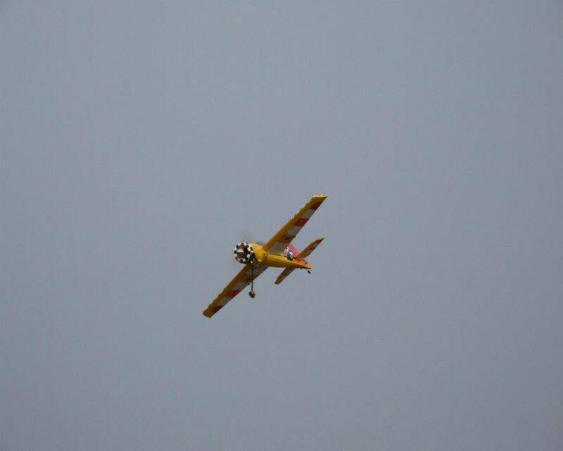 YAK55SP