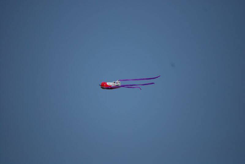 DSC_0018_調整大小.JPG