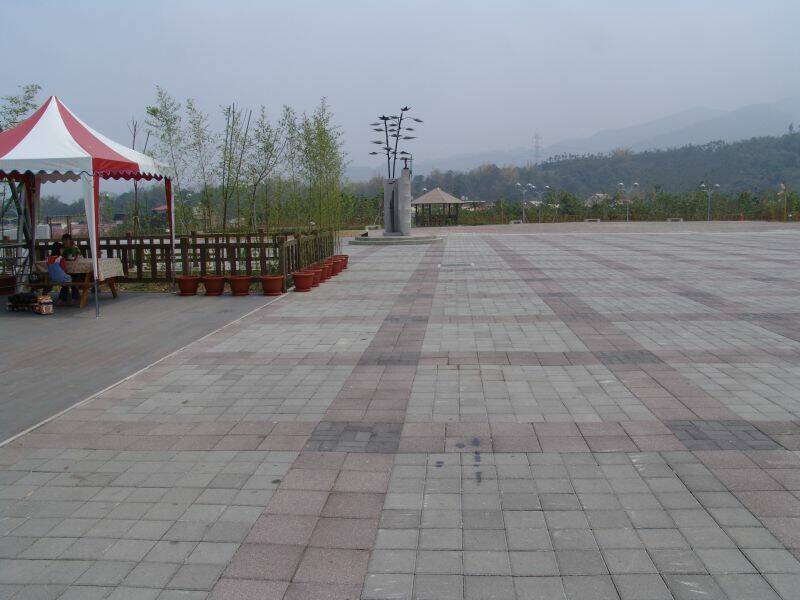 DSC06329.JPG
