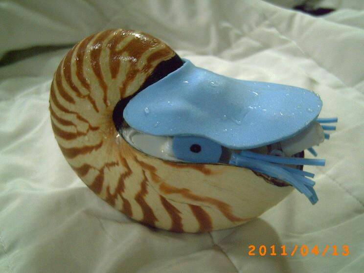 PICT0673.JPG