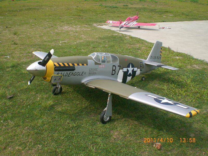 CIMG8647 (800x600).jpg