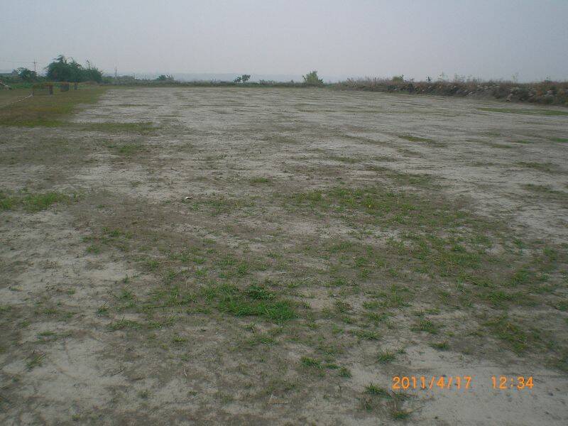CIMG8653 (800x600).jpg